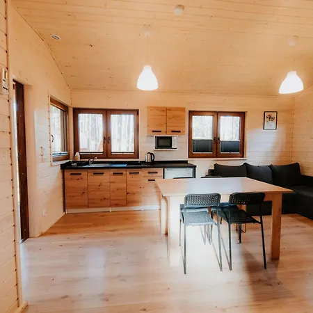 Wypoczywanko 43, 45 Апартаменты Борск