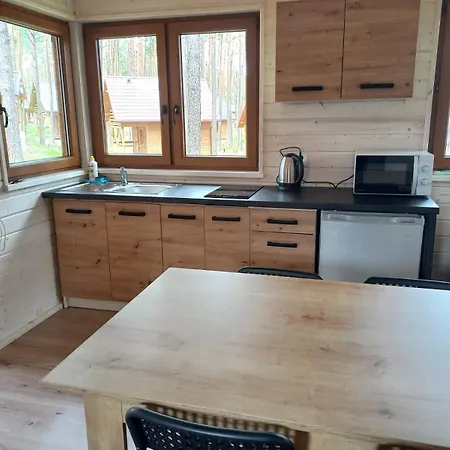 Апартаменты Wypoczywanko 43, 45 Борск