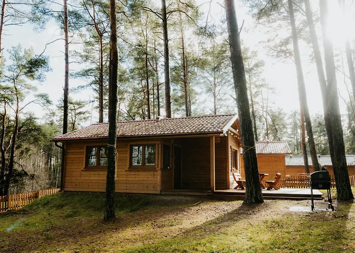 Wypoczywanko 43, 45 Borsk